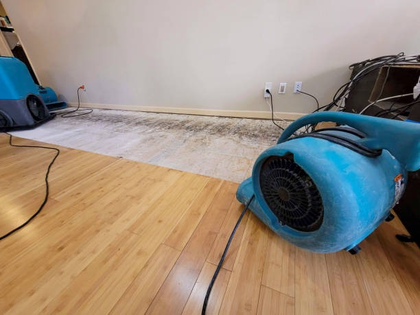 Professional Sewage Cleanup technician working in Freedom, CA